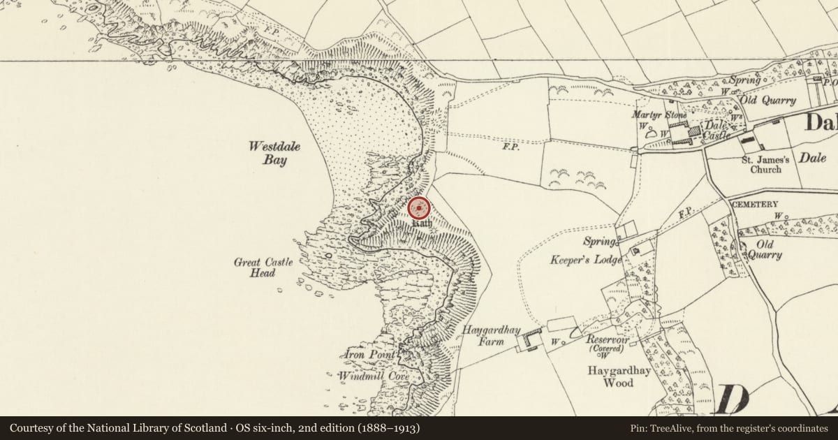 Ordnance Survey six-inch map, 2nd edition (1888–1913) covering the location of Great Castle Head Rath, Dale, Pembrokeshire, with a pin at the register's coordinates