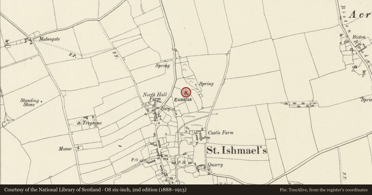 Ordnance Survey six-inch map, 2nd edition (1888–1913) covering the location of Castle Mound, St. Ishmael's, Pembrokeshire, with a pin at the register's coordinates
