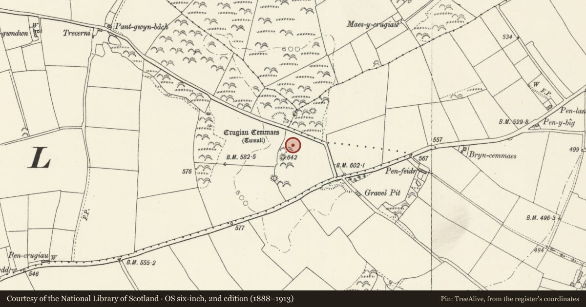 Ordnance Survey six-inch map, 2nd edition (1888–1913) covering the location of Crugiau Cemmaes Round Barrows, Nevern, Pembrokeshire, with a pin at the register's coordinates