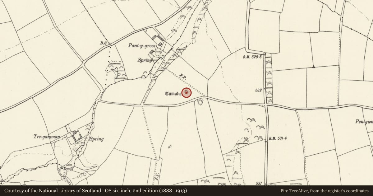 Ordnance Survey six-inch map, 2nd edition (1888–1913) covering the location of Pant-y-Groes Round Barrow, Nevern, Pembrokeshire, with a pin at the register's coordinates