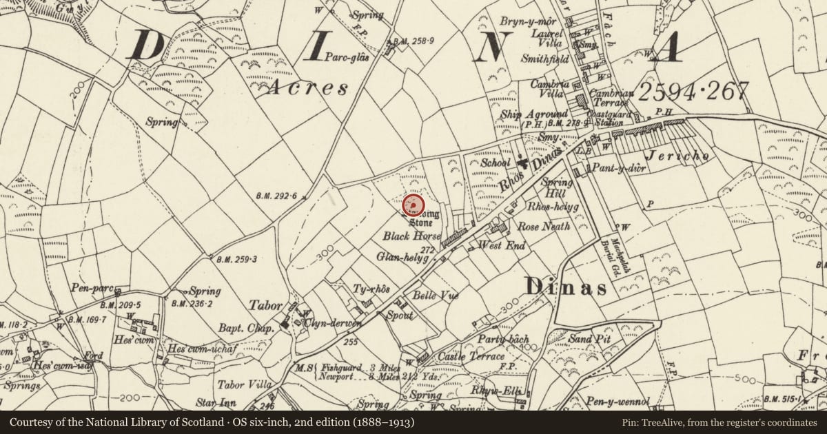 Ordnance Survey six-inch map, 2nd edition (1888–1913) covering the location of Standing Stone, Dinas Cross, Pembrokeshire, with a pin at the register's coordinates