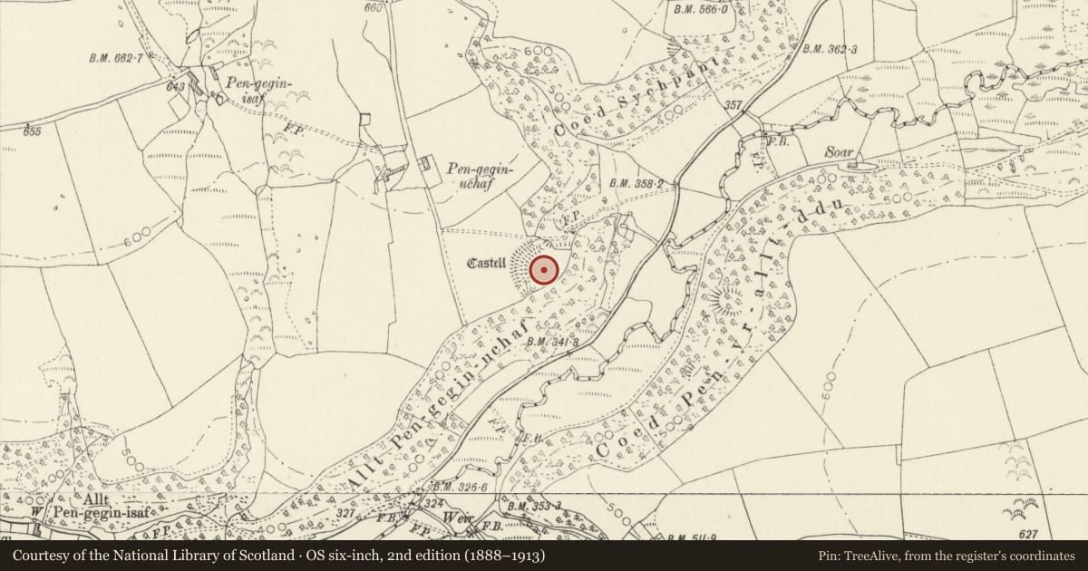 Ordnance Survey six-inch map, 2nd edition (1888–1913) covering the location of Castell Pengegin, Cwm Gwaun, Pembrokeshire, with a pin at the register's coordinates