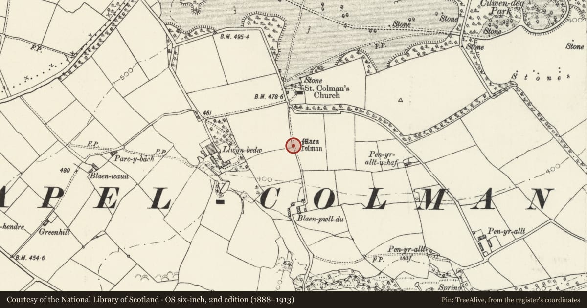 Ordnance Survey six-inch map, 2nd edition (1888–1913) covering the location of Maen Colman, Boncath, Pembrokeshire, with a pin at the register's coordinates