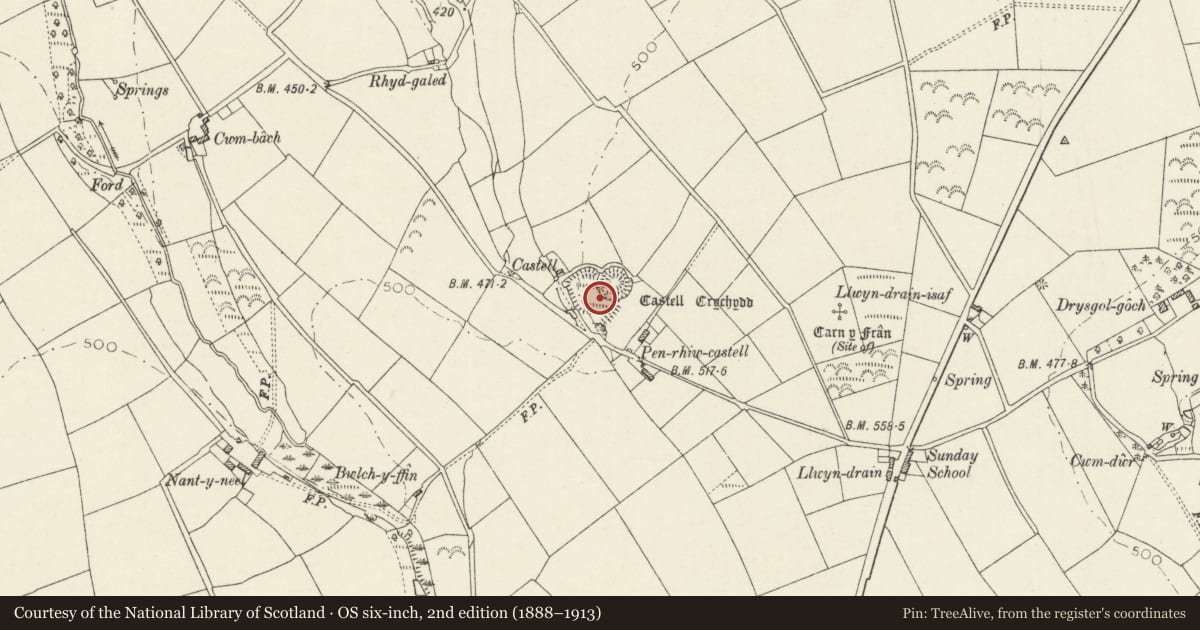 Ordnance Survey six-inch map, 2nd edition (1888–1913) covering the location of Castell Crychydd, Clydey, Pembrokeshire, with a pin at the register's coordinates