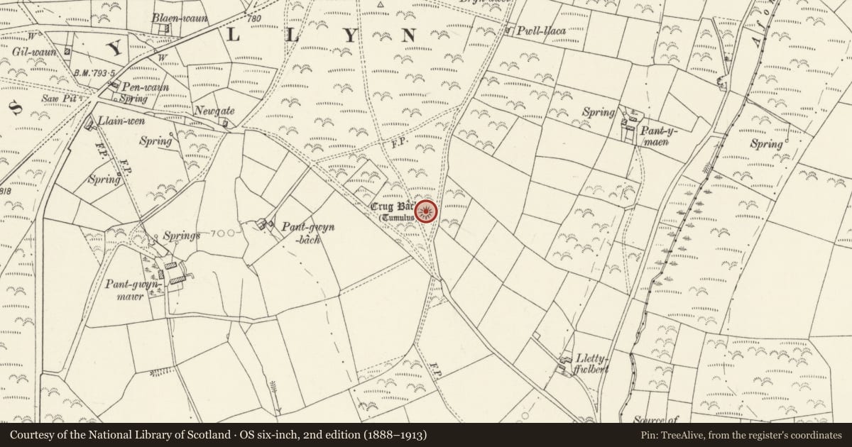 Ordnance Survey six-inch map, 2nd edition (1888–1913) covering the location of Crug Bach Round Barrow, Clydey, Pembrokeshire, with a pin at the register's coordinates