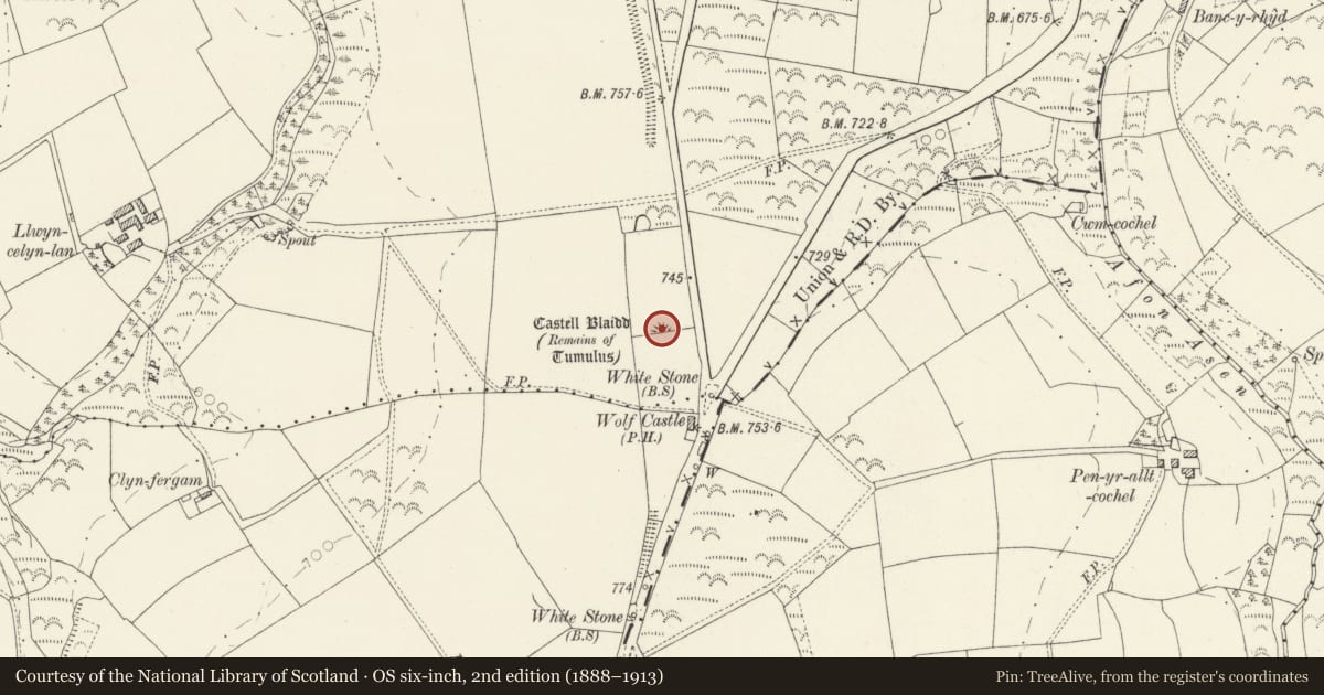 Ordnance Survey six-inch map, 2nd edition (1888–1913) covering the location of Castell Blaidd Round Barrow, Clydey, Pembrokeshire, with a pin at the register's coordinates