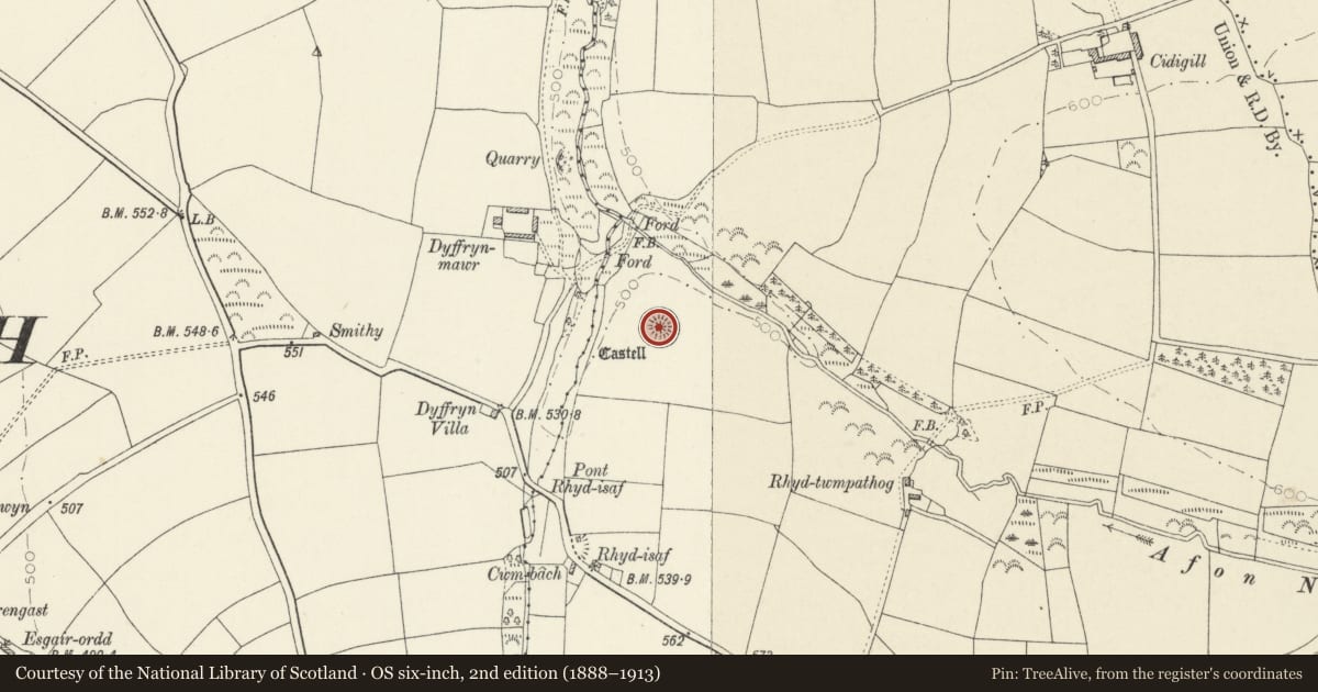 Ordnance Survey six-inch map, 2nd edition (1888–1913) covering the location of Castell Dyffrynmawr, Crymych, Pembrokeshire, with a pin at the register's coordinates
