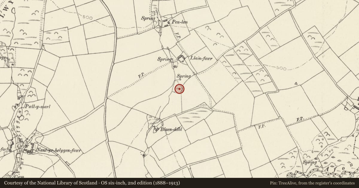 Ordnance Survey six-inch map, 2nd edition (1888–1913) covering the location of Castell Llain-Fawr, Eglwyswrw, Pembrokeshire, with a pin at the register's coordinates