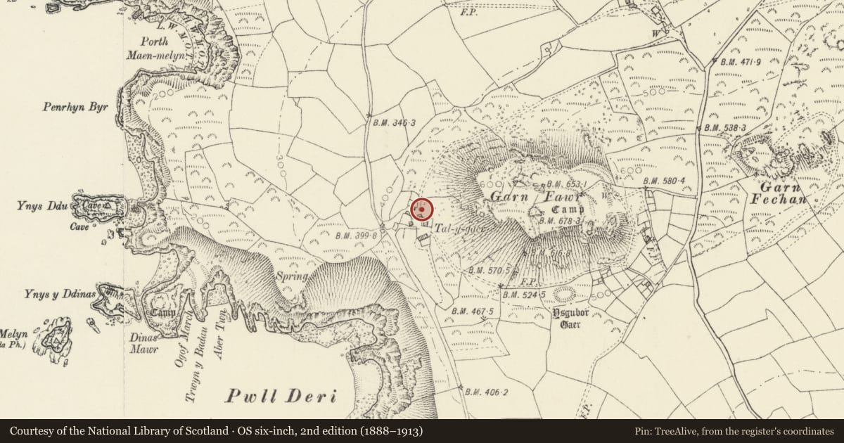 Ordnance Survey six-inch map, 2nd edition (1888–1913) covering the location of Tal-y-Gaer Corbelled Hut, Pencaer, Pembrokeshire, with a pin at the register's coordinates