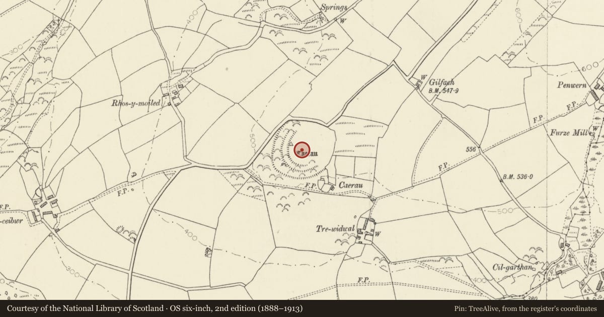 Ordnance Survey six-inch map, 2nd edition (1888–1913) covering the location of Caerau, Nevern, Pembrokeshire, with a pin at the register's coordinates