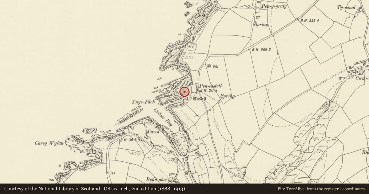 Ordnance Survey six-inch map, 2nd edition (1888–1913) covering the location of Pen-Castell Promontory Fort, Nevern, Pembrokeshire, with a pin at the register's coordinates