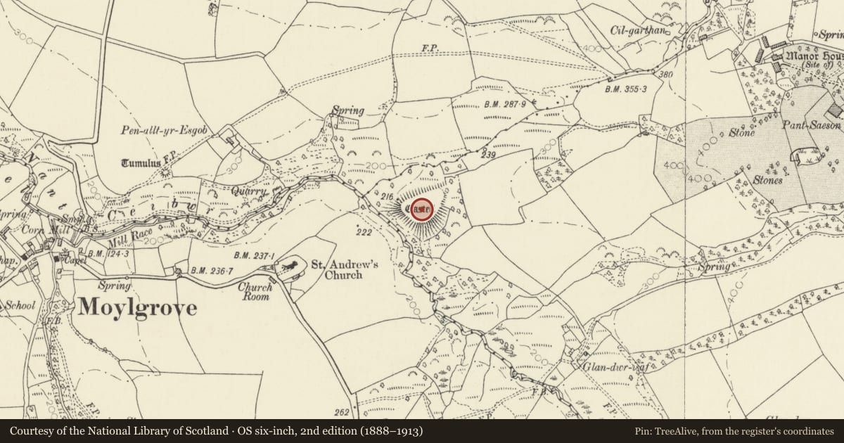 Ordnance Survey six-inch map, 2nd edition (1888–1913) covering the location of Glan-Dwr-Isaf Camp, Nevern, Pembrokeshire, with a pin at the register's coordinates