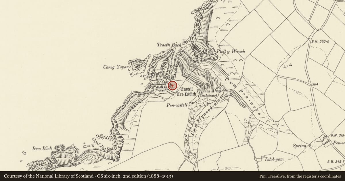 Ordnance Survey six-inch map, 2nd edition (1888–1913) covering the location of Castell Tre-Riffith, Nevern, Pembrokeshire, with a pin at the register's coordinates