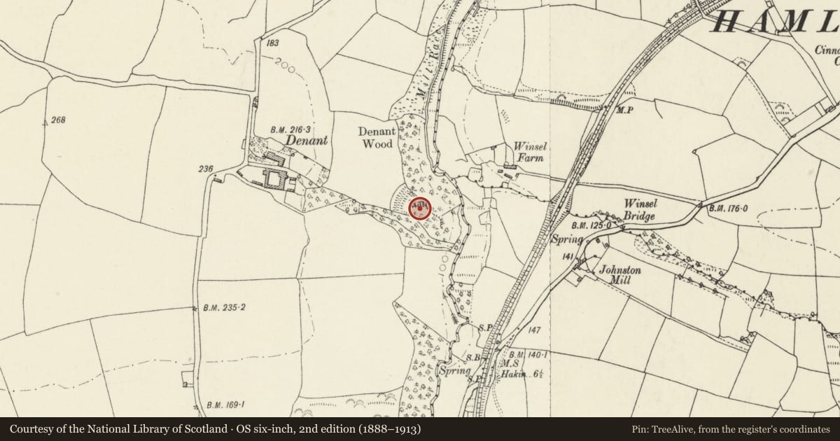Ordnance Survey six-inch map, 2nd edition (1888–1913) covering the location of Denant Rath, Tiers Cross, Pembrokeshire, with a pin at the register's coordinates