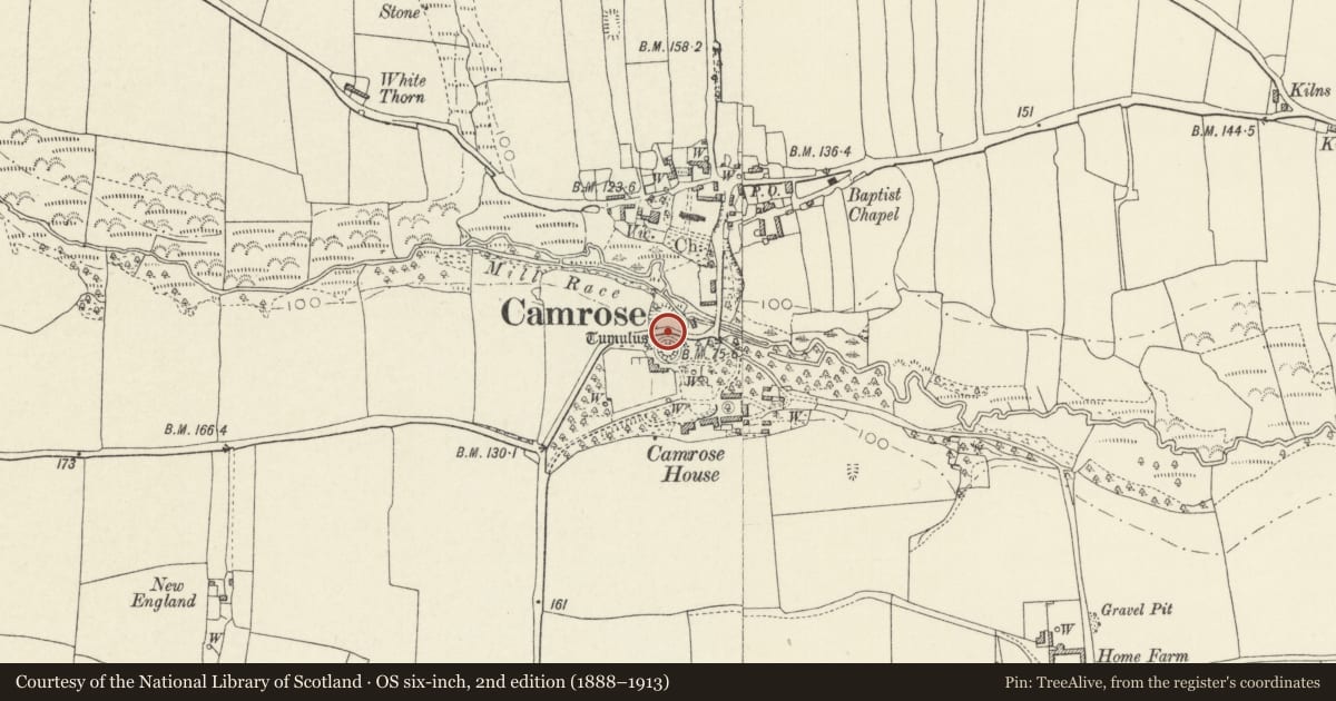 Ordnance Survey six-inch map, 2nd edition (1888–1913) covering the location of Camrose Mound & Bailey Castle, Pembrokeshire, with a pin at the register's coordinates