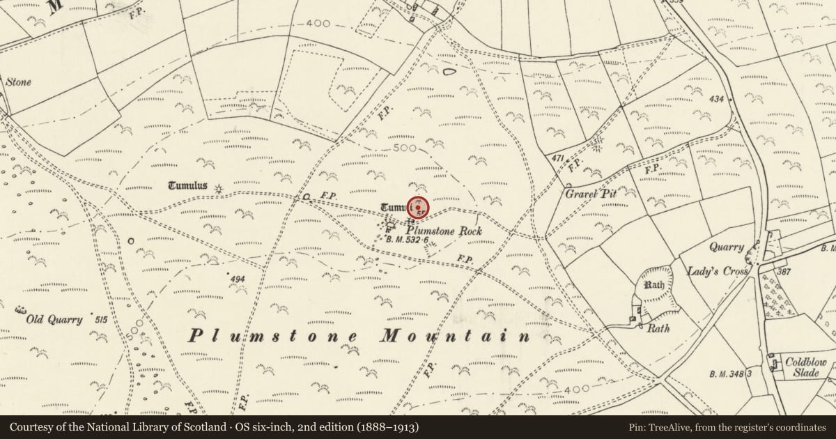 Ordnance Survey six-inch map, 2nd edition (1888–1913) covering the location of Plumstone Rock Round Barrows, Camrose, Pembrokeshire, with a pin at the register's coordinates