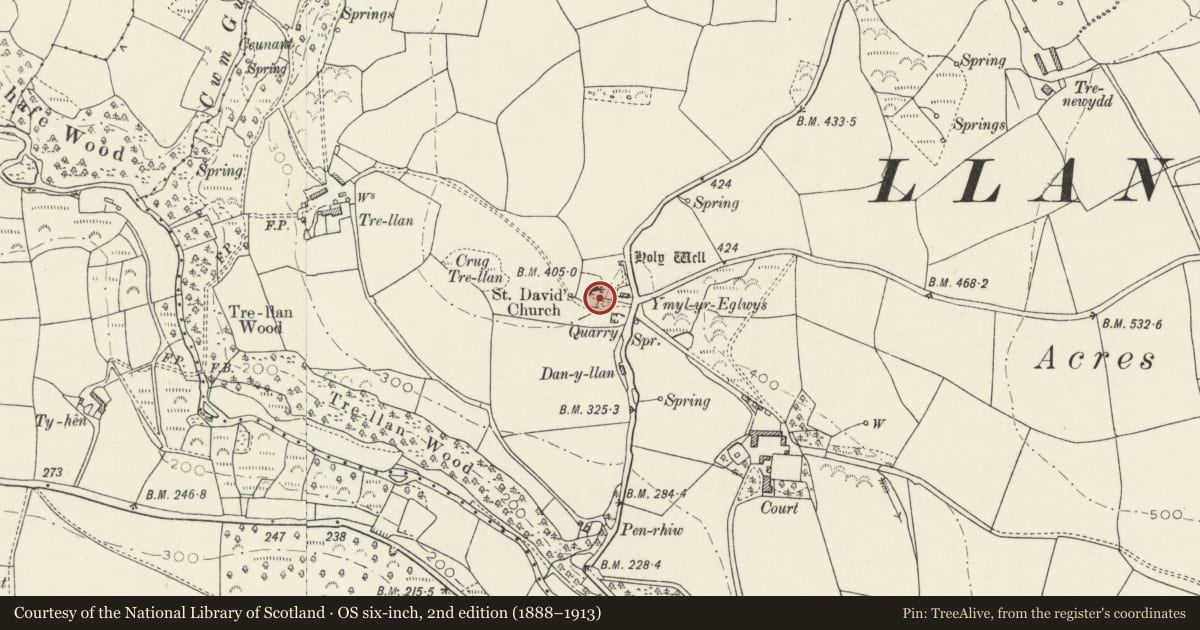 Ordnance Survey six-inch map, 2nd edition (1888–1913) covering the location of Two Pillar-Crosses in Churchyard, Llanllawer, Cwm Gwaun, Pembrokeshire, with a pin at the register's coordinates