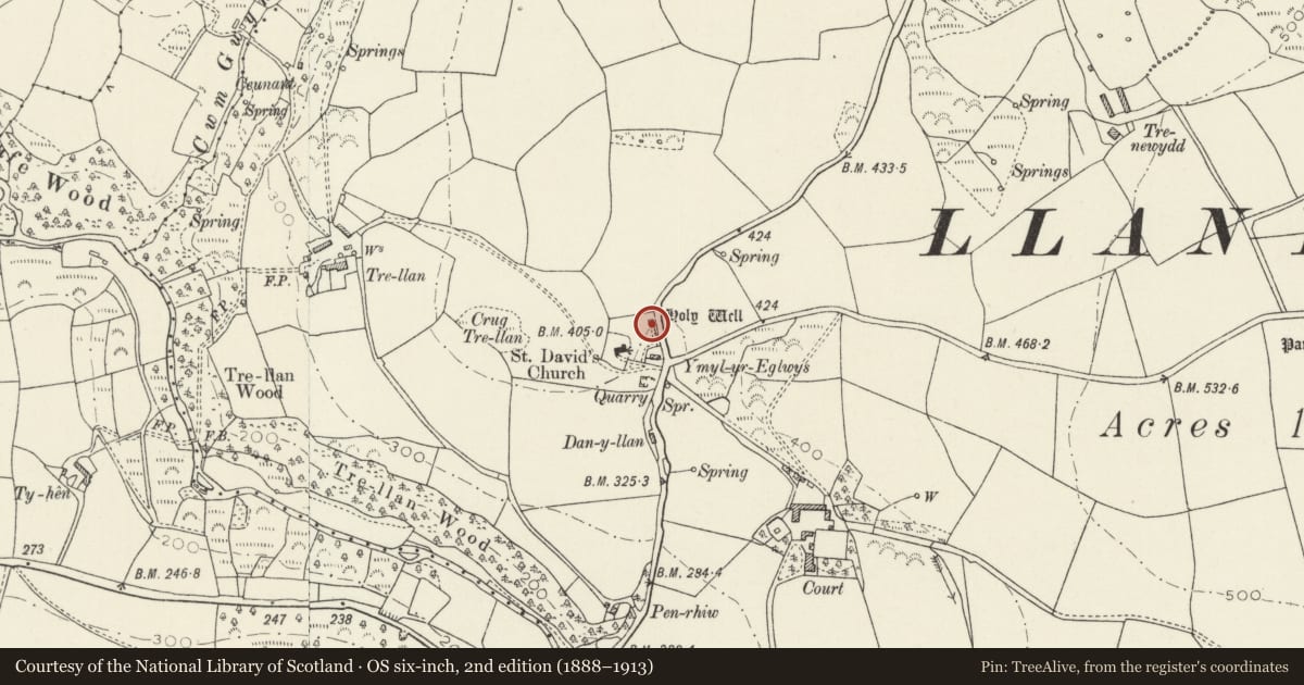 Ordnance Survey six-inch map, 2nd edition (1888–1913) covering the location of Holy Well, Cwm Gwaun, Pembrokeshire, with a pin at the register's coordinates
