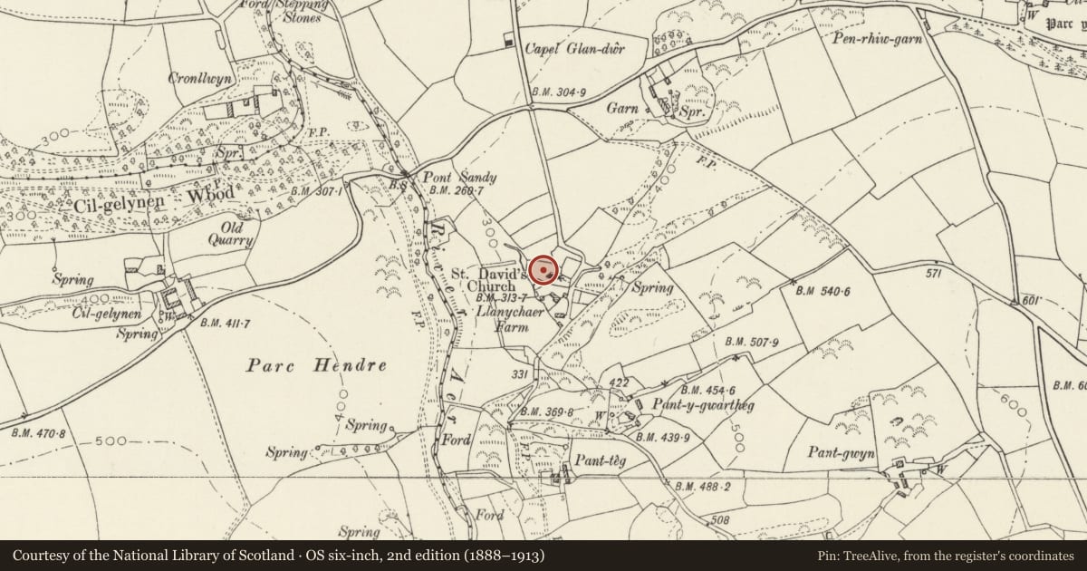 Ordnance Survey six-inch map, 2nd edition (1888–1913) covering the location of Pillar Cross in Churchyard, Cwm Gwaun, Pembrokeshire, with a pin at the register's coordinates