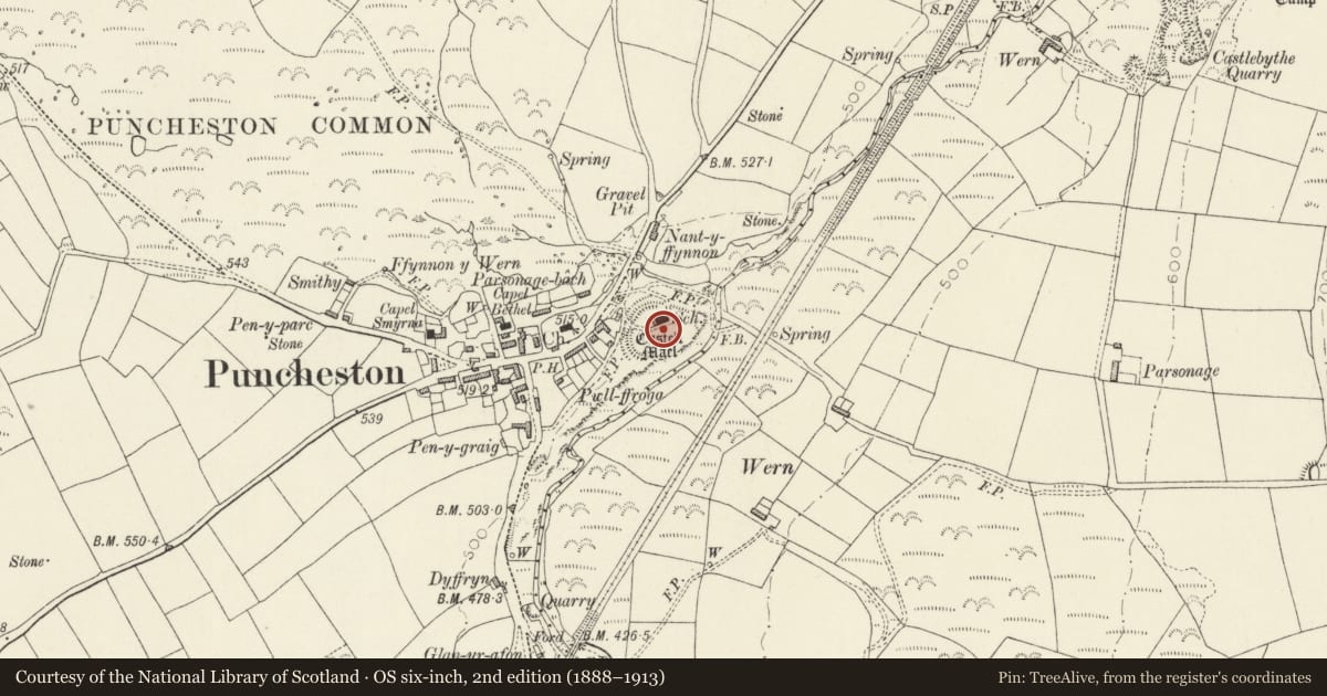 Ordnance Survey six-inch map, 2nd edition (1888–1913) covering the location of Castell Mael, Puncheston, Pembrokeshire, with a pin at the register's coordinates