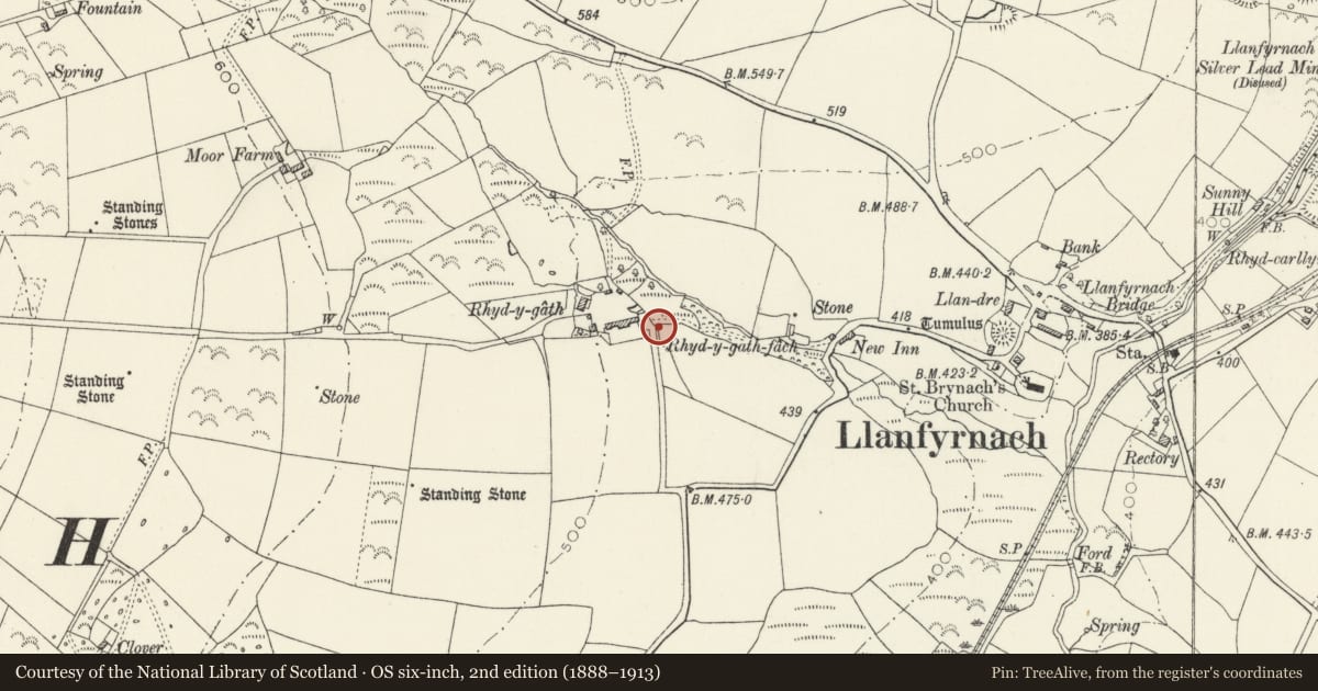 Ordnance Survey six-inch map, 2nd edition (1888–1913) covering the location of Rhyd-y-Gath Pillar Cross, Crymych, Pembrokeshire, with a pin at the register's coordinates