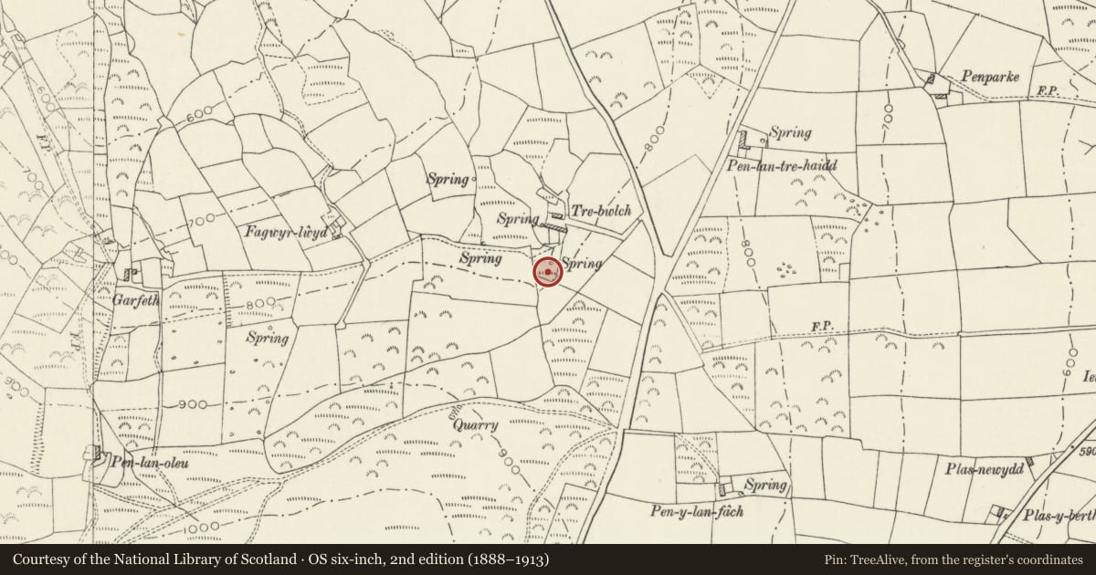 Ordnance Survey six-inch map, 2nd edition (1888–1913) covering the location of Tre-Bwlch Pillar Crosses, Eglwyswrw, Pembrokeshire, with a pin at the register's coordinates