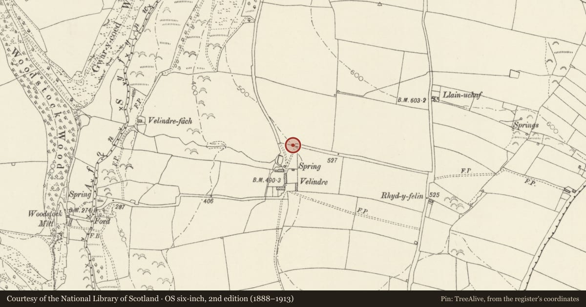 Ordnance Survey six-inch map, 2nd edition (1888–1913) covering the location of Velindre Pillar-Cross, New Moat, Pembrokeshire, with a pin at the register's coordinates
