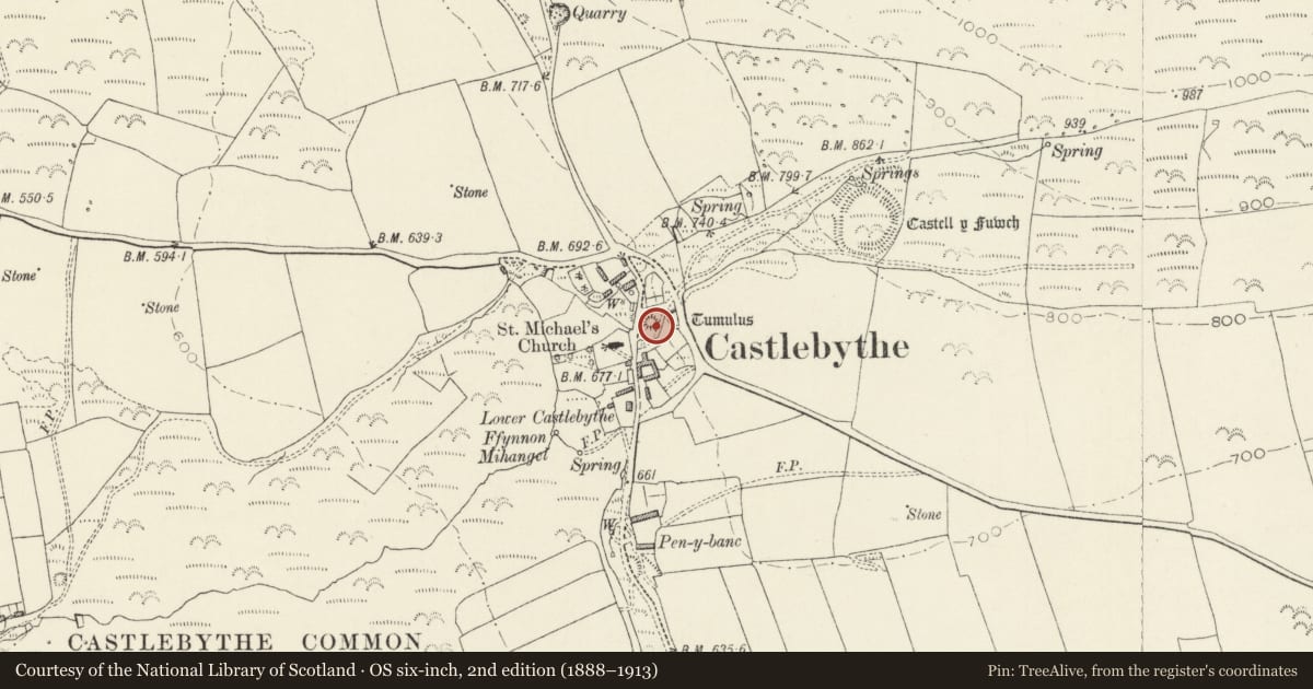 Ordnance Survey six-inch map, 2nd edition (1888–1913) covering the location of Castell Mound, Puncheston, Pembrokeshire, with a pin at the register's coordinates