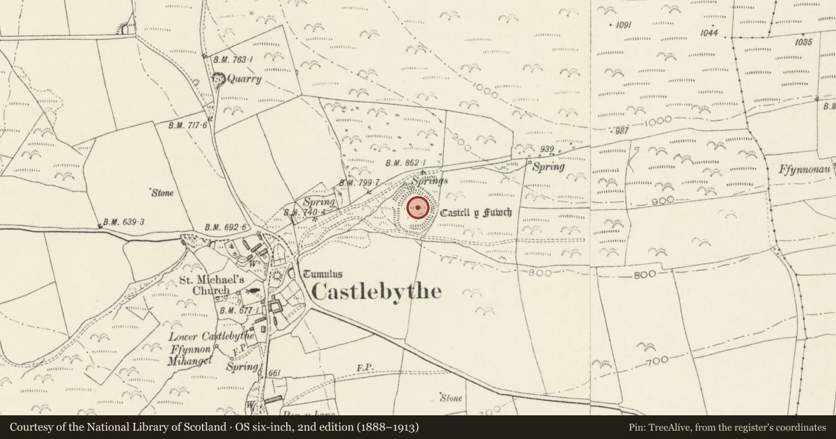 Ordnance Survey six-inch map, 2nd edition (1888–1913) covering the location of Castell y Fuwch, Puncheston, Pembrokeshire, with a pin at the register's coordinates