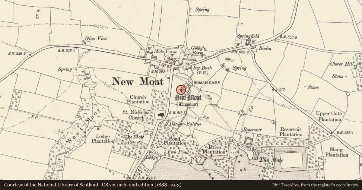 Ordnance Survey six-inch map, 2nd edition (1888–1913) covering the location of New Moat Castle Mound, Pembrokeshire, with a pin at the register's coordinates