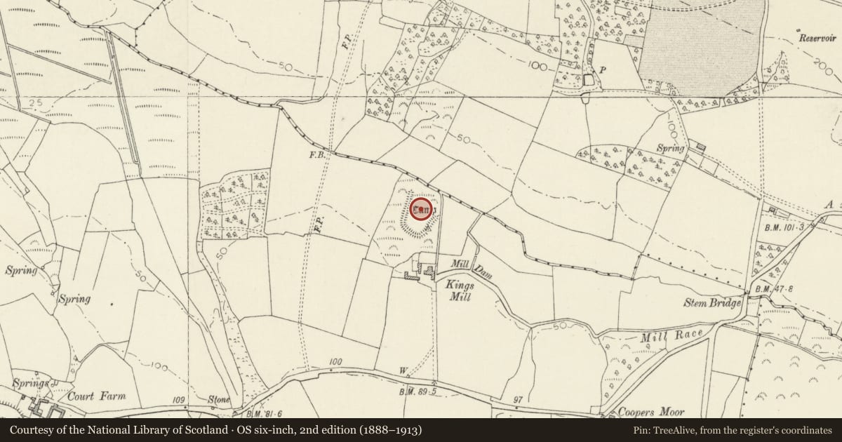 Ordnance Survey six-inch map, 2nd edition (1888–1913) covering the location of Kings Mill Camp, Castlemartin, Pembrokeshire, with a pin at the register's coordinates