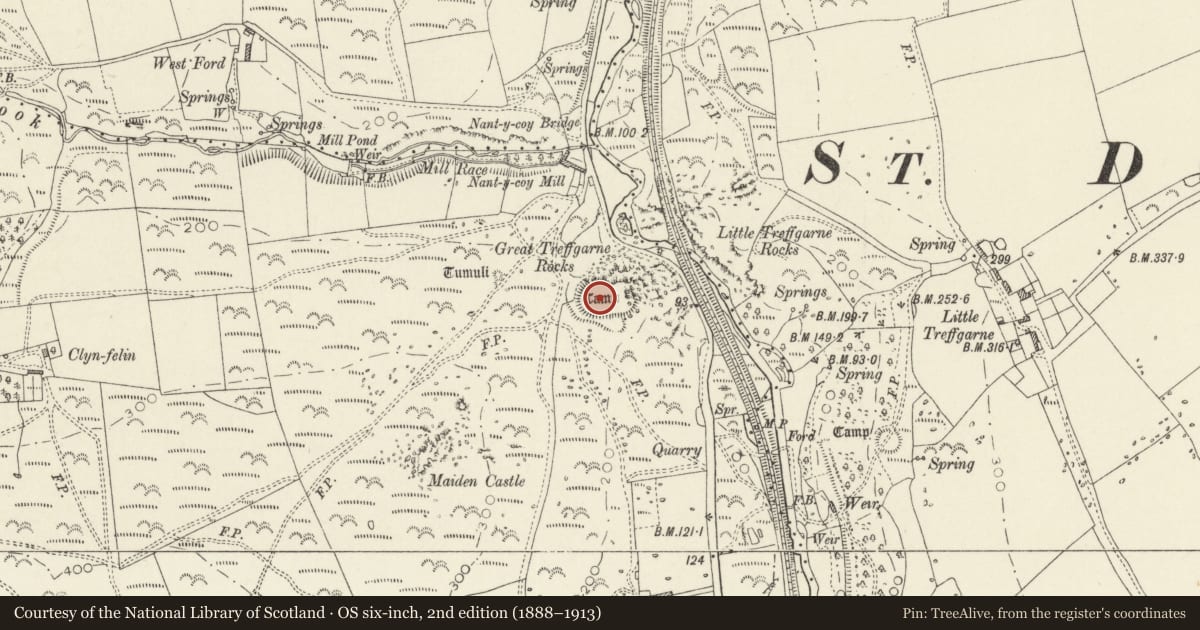 Ordnance Survey six-inch map, 2nd edition (1888–1913) covering the location of Great Treffgarne Rocks Camp, Wolfscastle, Pembrokeshire, with a pin at the register's coordinates