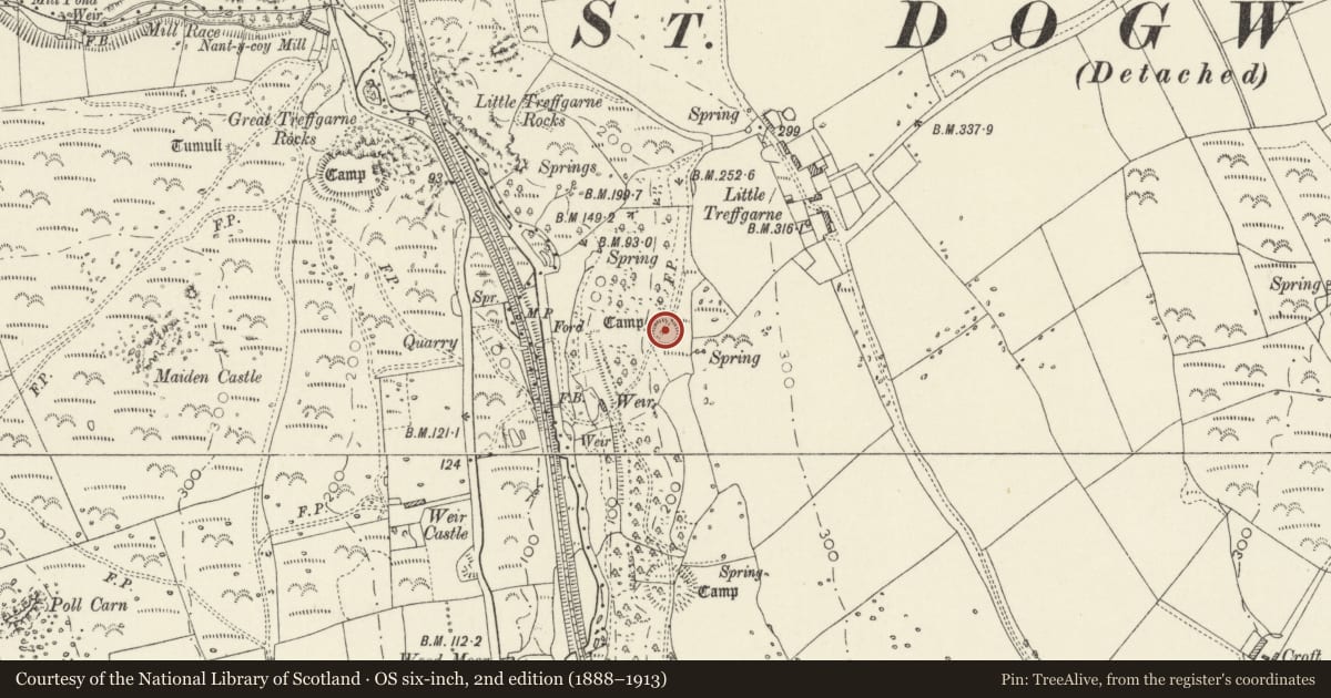 Ordnance Survey six-inch map, 2nd edition (1888–1913) covering the location of Little Treffgarne Camp, Wolfscastle, Pembrokeshire, with a pin at the register's coordinates