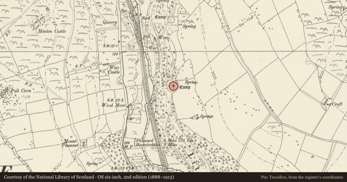 Ordnance Survey six-inch map, 2nd edition (1888–1913) covering the location of Little Treffgarne Wood Camp, Wolfscastle, Pembrokeshire, with a pin at the register's coordinates