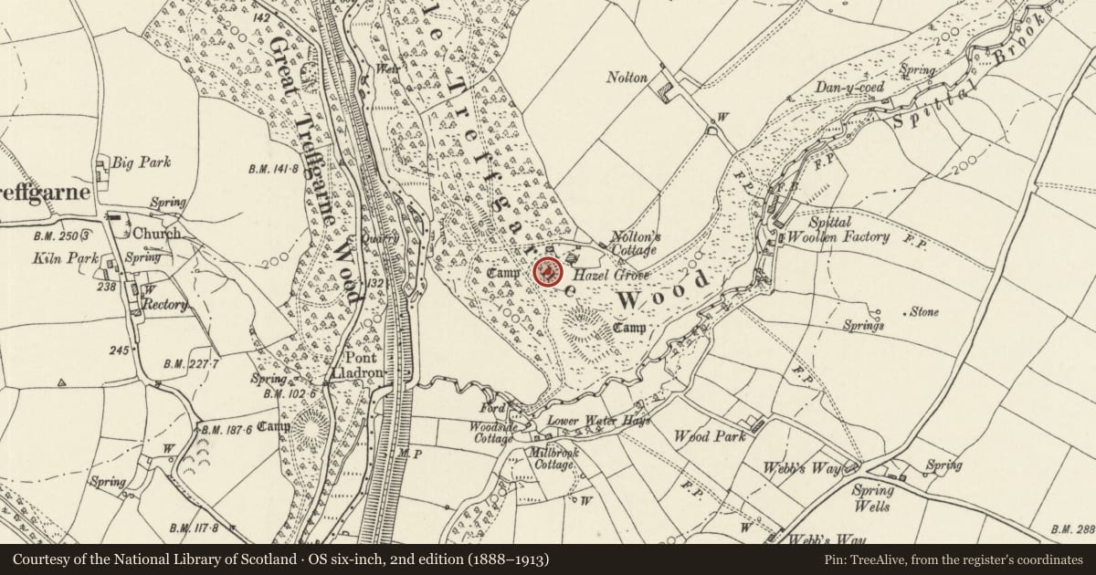 Ordnance Survey six-inch map, 2nd edition (1888–1913) covering the location of Hazel Grove Camp (North), Wolfscastle, Pembrokeshire, with a pin at the register's coordinates