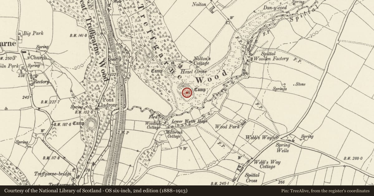 Ordnance Survey six-inch map, 2nd edition (1888–1913) covering the location of Hazel Grove Camp (South), Wolfscastle, Pembrokeshire, with a pin at the register's coordinates