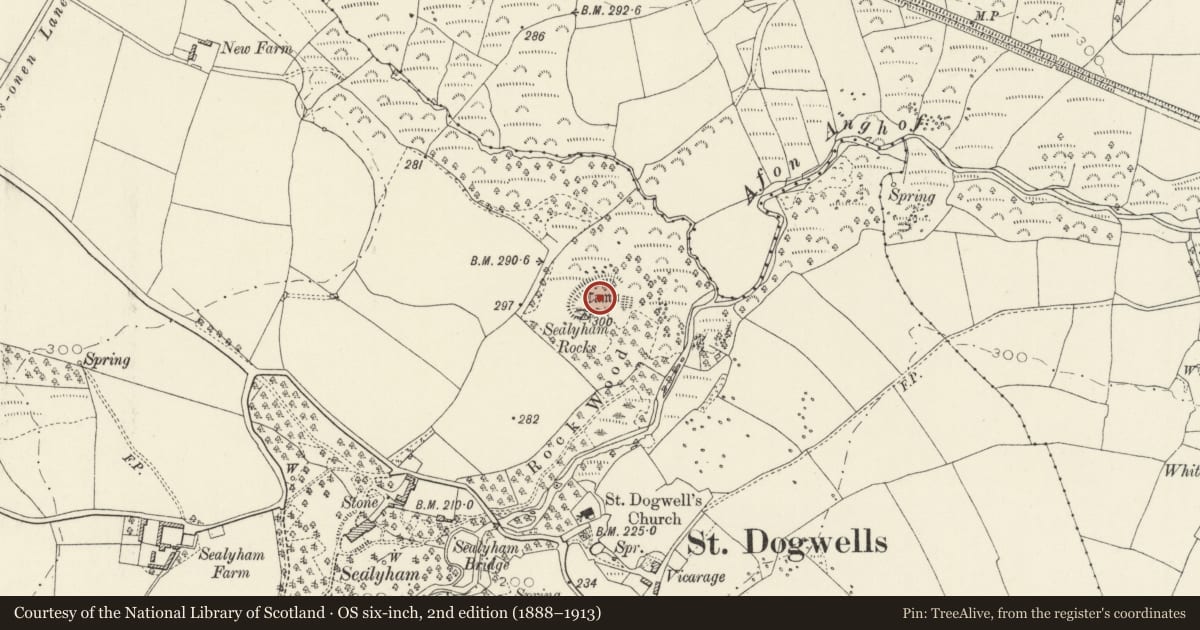 Ordnance Survey six-inch map, 2nd edition (1888–1913) covering the location of Sealyham Rocks Camp, Wolfscastle, Pembrokeshire, with a pin at the register's coordinates