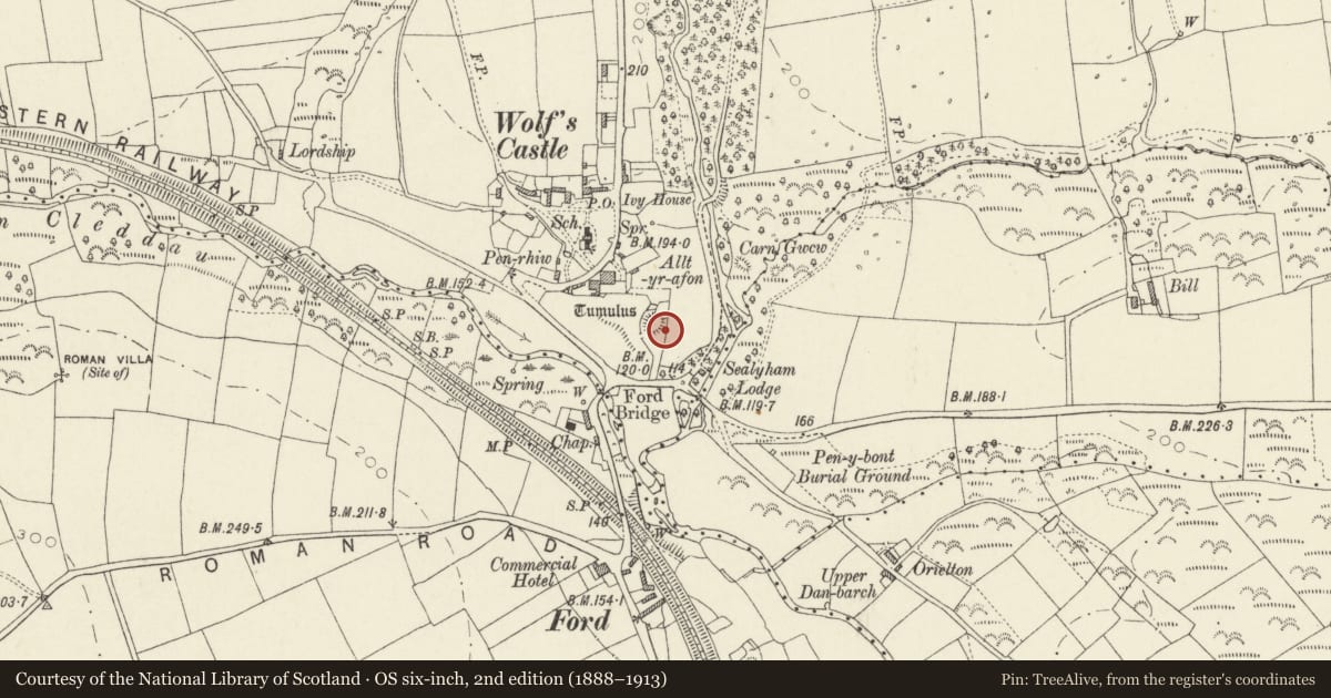 Ordnance Survey six-inch map, 2nd edition (1888–1913) covering the location of Wolfscastle Castle Mound, Pembrokeshire, with a pin at the register's coordinates