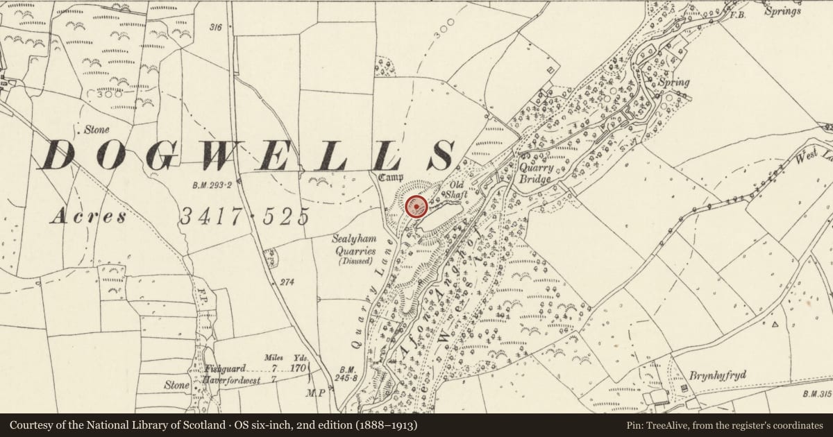 Ordnance Survey six-inch map, 2nd edition (1888–1913) covering the location of Sealyham Quarries Camp, Wolfscastle, Pembrokeshire, with a pin at the register's coordinates