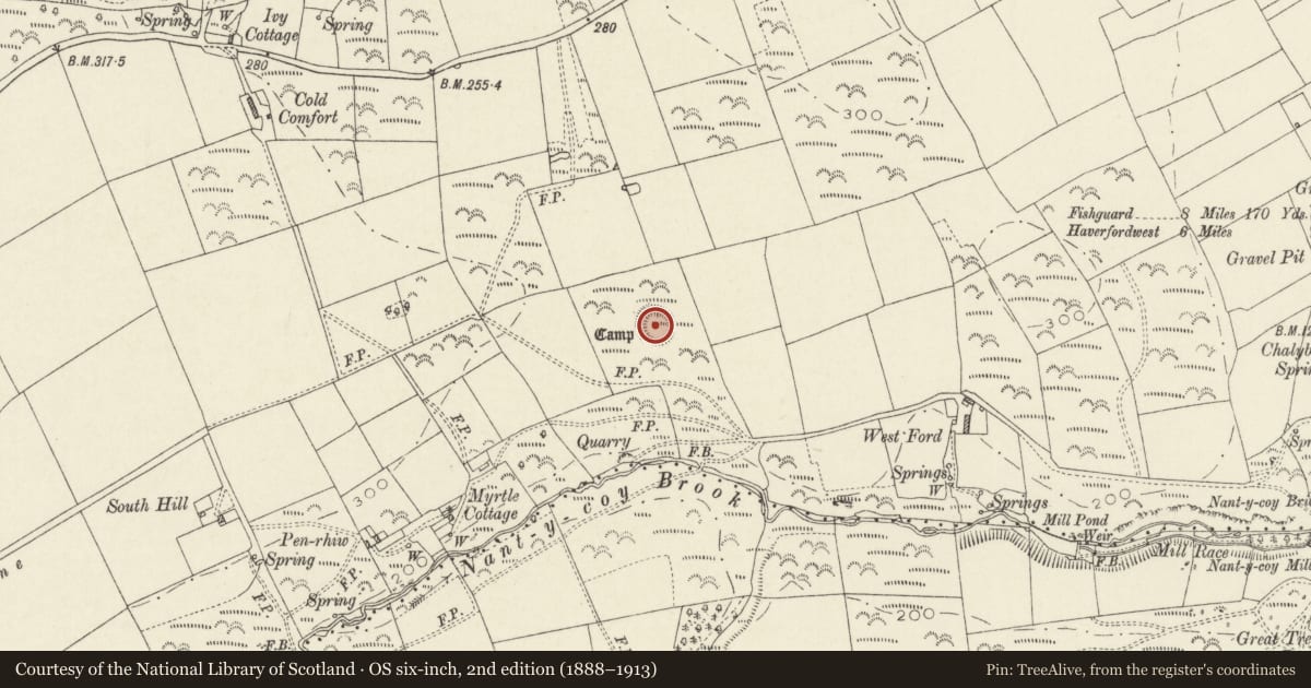 Ordnance Survey six-inch map, 2nd edition (1888–1913) covering the location of West Ford Camp, Wolfscastle, Pembrokeshire, with a pin at the register's coordinates