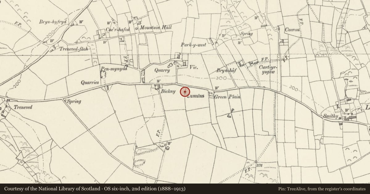 Ordnance Survey six-inch map, 2nd edition (1888–1913) covering the location of Bickny Round Barrow, Llanrhian, Pembrokeshire, with a pin at the register's coordinates