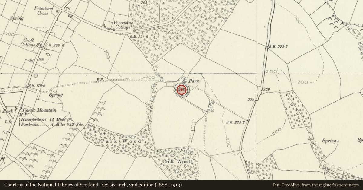 Ordnance Survey six-inch map, 2nd edition (1888–1913) covering the location of Park Camp, Carew, Pembrokeshire, with a pin at the register's coordinates