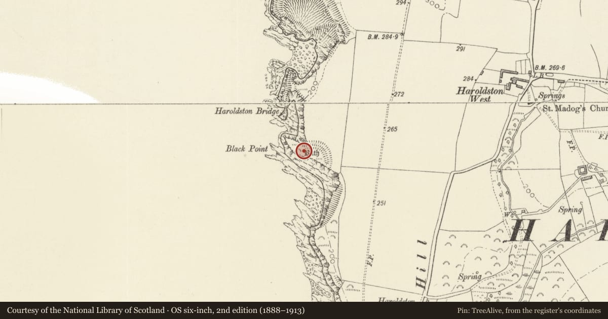 Ordnance Survey six-inch map, 2nd edition (1888–1913) covering the location of Black Point Rath, The Havens, Pembrokeshire, with a pin at the register's coordinates