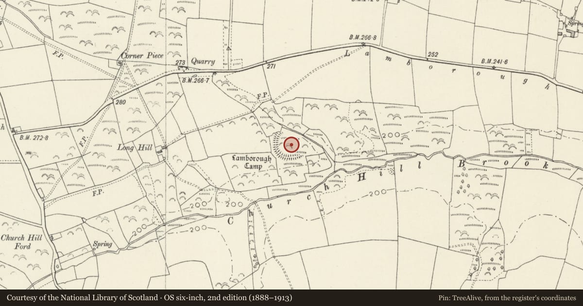 Ordnance Survey six-inch map, 2nd edition (1888–1913) covering the location of Lamborough Camp, Wiston, Pembrokeshire, with a pin at the register's coordinates