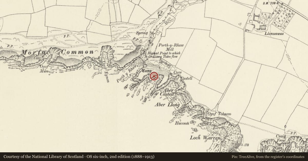 Ordnance Survey six-inch map, 2nd edition (1888–1913) covering the location of Porth-y-Rhaw Camp, Solva, Pembrokeshire, with a pin at the register's coordinates