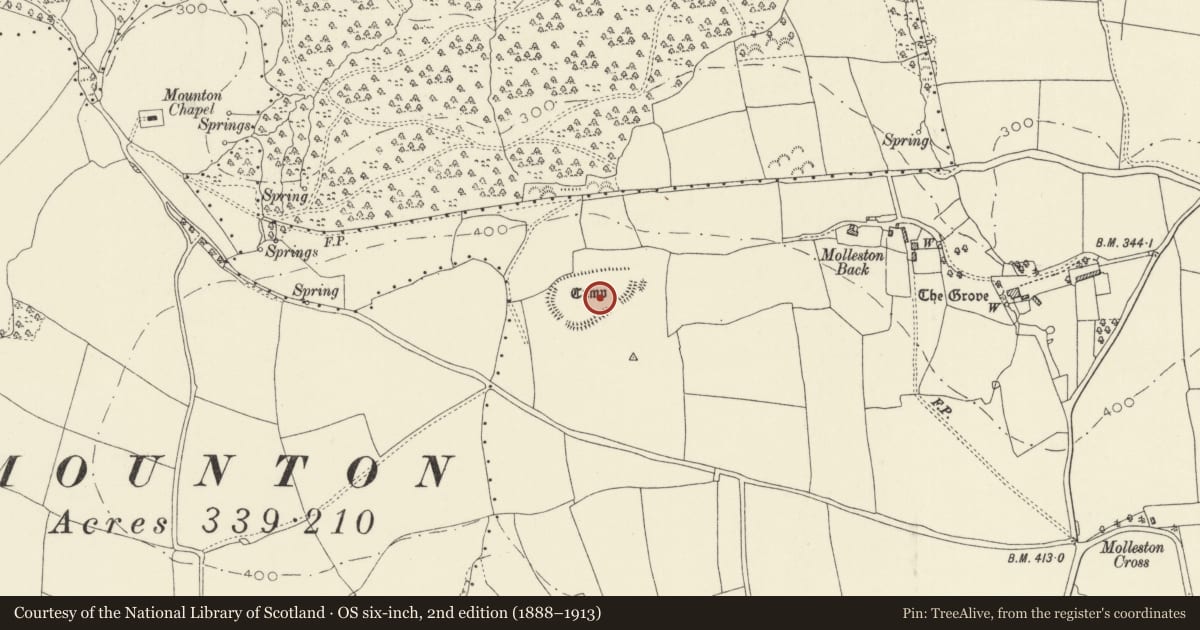 Ordnance Survey six-inch map, 2nd edition (1888–1913) covering the location of Molleston Camp, Templeton, Pembrokeshire, with a pin at the register's coordinates