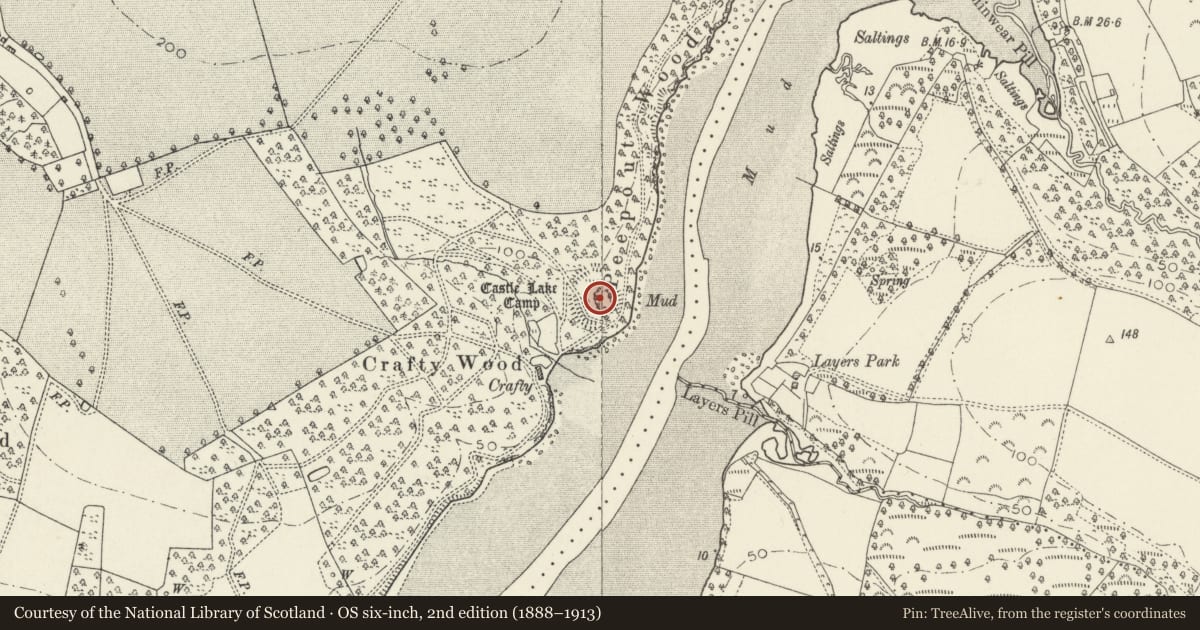 Ordnance Survey six-inch map, 2nd edition (1888–1913) covering the location of Castle Lake Camp, Slebech, Pembrokeshire, with a pin at the register's coordinates