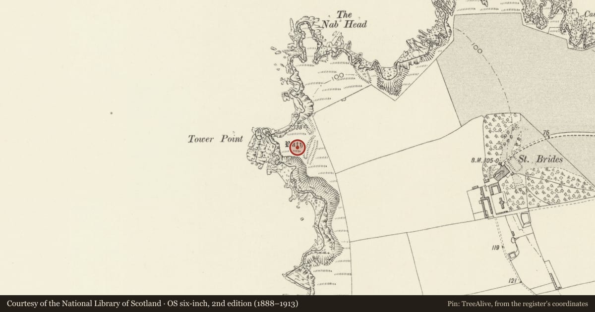 Ordnance Survey six-inch map, 2nd edition (1888–1913) covering the location of Tower Point Rath, Marloes and St. Brides, Pembrokeshire, with a pin at the register's coordinates