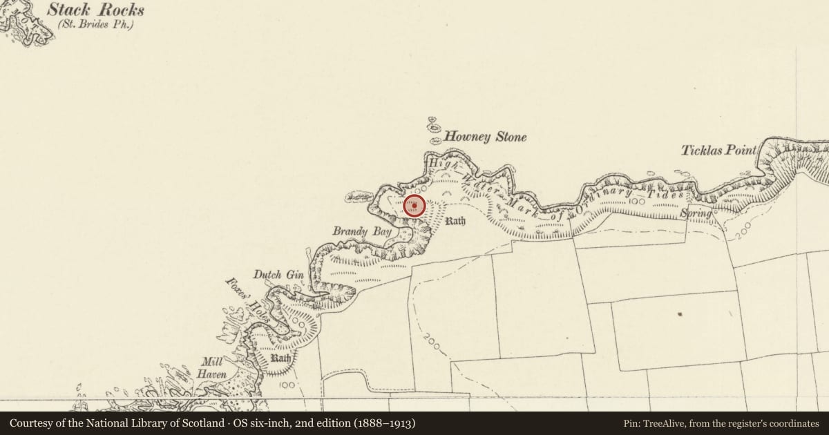 Ordnance Survey six-inch map, 2nd edition (1888–1913) covering the location of Howney Stone Rath, The Havens, Pembrokeshire, with a pin at the register's coordinates