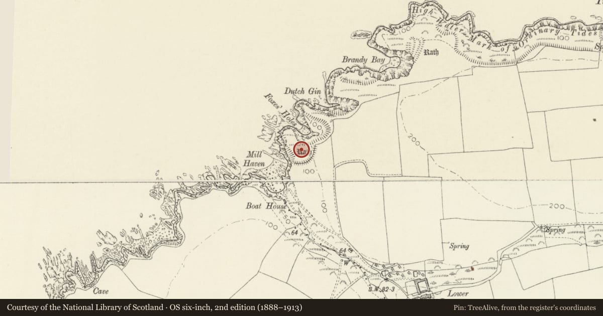 Ordnance Survey six-inch map, 2nd edition (1888–1913) covering the location of Mill Haven Rath, The Havens, Pembrokeshire, with a pin at the register's coordinates